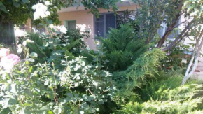 Liman guest house